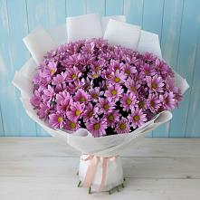 Букет цветов из:  Хризантемы #REPLACE_PRED# Корфовский