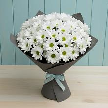 Букет цветов из:  Хризантемы #REPLACE_PRED# Корфовский
